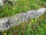 image of grave number 292616